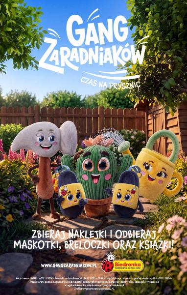 Gazetka Biedronka
